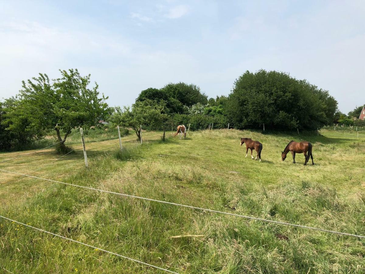 Appartement Am Muehlenhuegel Stedesdorf